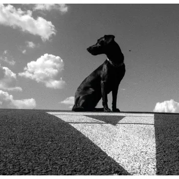 Česká hudba Le Payaco - Pohybliví v nehybnom (CD, 8588007619064)