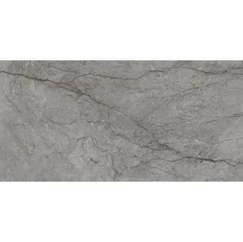 Visioner grey poler - dlaždice rektifikovaná 59,8x119,8 šedá lesk 161295