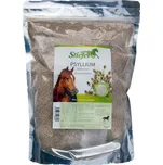 Stiefel Psyllium 1 kg