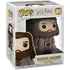 Figurka Funko POP! Harry Potter