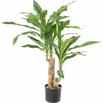 umělá květina Umělá rostlina Dracena Fragrances Stud, 60cm