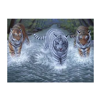 Malování podle čísel - senior 30x40 cm- Tři tygři