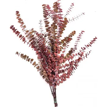 umělá květina Stabilizovaná rostlina Baby Blue Autumn 40-80 cm