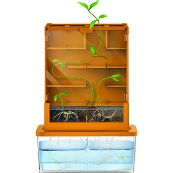 Dětská vědecká sada 4M KidzLabs rostliny v bludišti