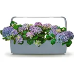 Tregren T12 Kitchen Garden