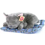 Rappa Eco-Friendly 23 cm