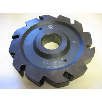 Fréza Frézovací hlava-spárovka 250X40X50 pro nože 112540 HOKINKA