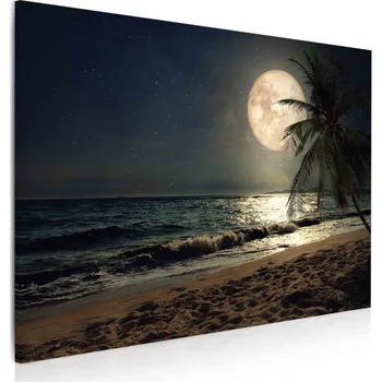 Obraz Malvis Obraz Pláž s palmou při měsíci Velikost: 90x60 cm