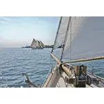 Komar Papírová fototapeta 368 x 254 cm