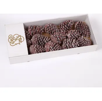 Zahradní dekorace Su Šišky Maritima 10/14 bělená 14ks (00024053910)