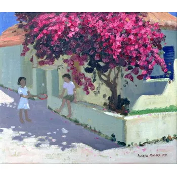 Plakát Plakát, Obraz - Bougainvillaea, Zante, 1999, Andrew Macara