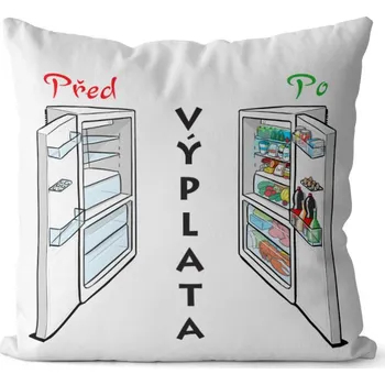 Dekorativní polštářek Polštář Výplata (Velikost: 40 x 40 cm)