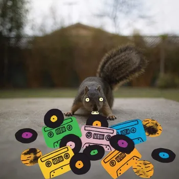 Zahraniční hudba Evidence : Squirrel Tape Instrumental Vol1 LP