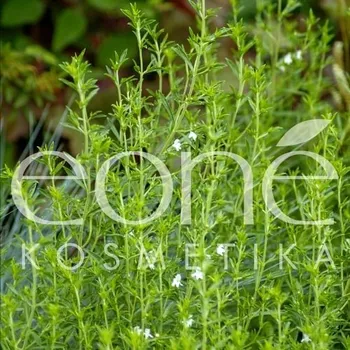 Eoné Tymián linalool BIO, 5 ml - při kašli a infekcích dýchacích cest