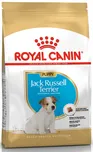 Royal Canin Jack Russel Puppy