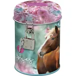 Derform Pokladnička