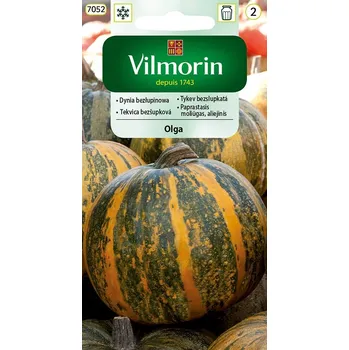 Semeno Tykev bezslupkatá Olga