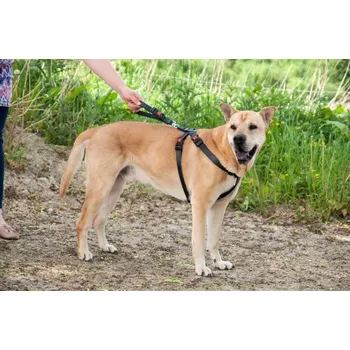 Pro psa Karlie bezpečnostní postroj do auta Velikost: M