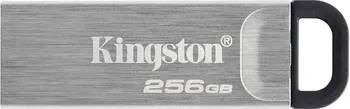 USB flash disk Kingston DT Kyson 256 GB stříbrný (DTKN/256GB)