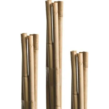 Stojan na květiny Bambusová tyč k rostlinám 120 cm Ø 8 mm 10 ks