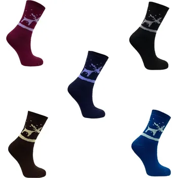 Pánské ponožky GiNo Termo ponožky (5 párů) Barva: Mix barva, Velikost: 39-41