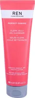 REN Clean Skincare Perfect Canvas čisticí gel 100 ml