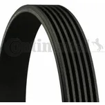 Continental CTAM 6PK802