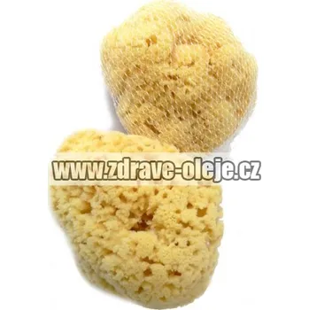 Žlutá pacifická houba 12-13cm SLY 354