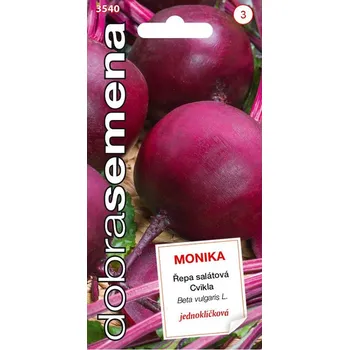 Semeno Dobrá semena Řepa salátová Monika 1,5 g