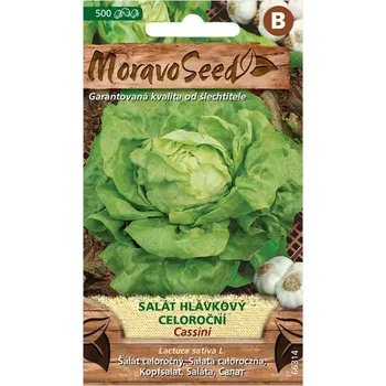 Semeno MoravoSeed Cassini salát hlávkový celoroční 0,6 g
