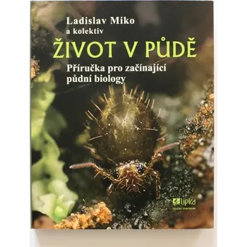 Lipka Život v půdě