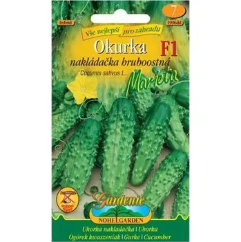 Semeno Nohelgarden Okurka nakládačka hruboostná MARIETA F1 - hybrid