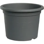 Plastia Narcis 40 cm