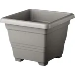 Plastia Begonia 30 cm