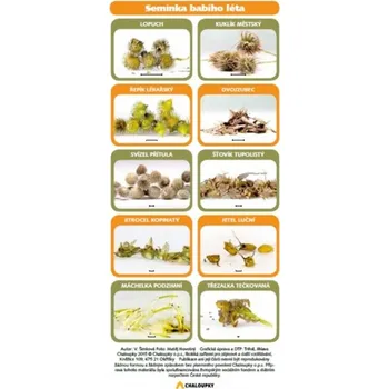 Encyklopedie Chaloupky Semínka babího léta