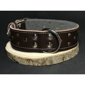 Obojek pro psa Palkar zdobený obojek z kůže hlazenice pro psy 60 cm x 40 mm hnědý (Palkar zdobený obojek z kůže hlazenice pro psy 60 cm x 40 mm hnědý)