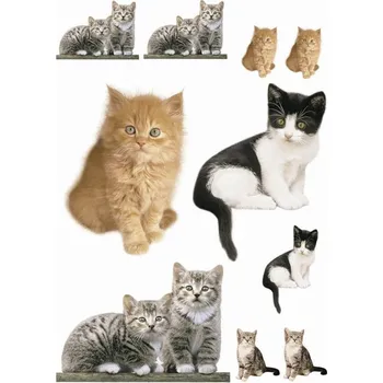 Samolepící dekorace Samolepicí dekorace 50x70cm na zeď Freestyle Kitty 17010