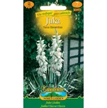Nohel Garden Juka vláknitá bílá