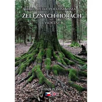 Umění Jaro, léto, podzim, zima v Železných horách na Vysočině - Ludvík Plašil [CS, EN] (2017, pevná)