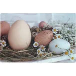 Plastové prostírání 1000628 28 x 43 cm…