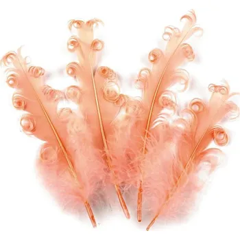 Výtvárné potřeby Husí peří kudrnaté délka 12-18 cm, barva 17 korálová světlá