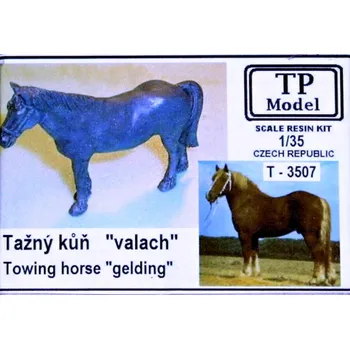 Plastikový model 1/35 Towing horse 'Gelding' (resin set)