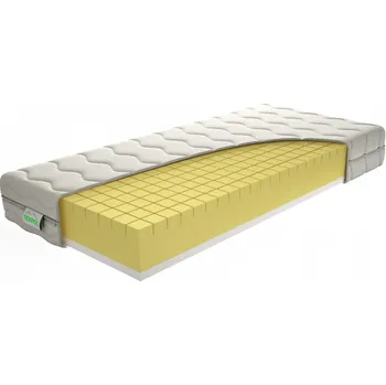 Matrace TEXPOL MEDICO - kvalitní antidekubitní matrace s potahem Aloe Vera Silver 80 x 195 cm, snímatelný potah