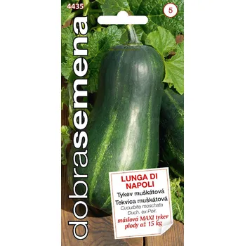 Semeno Dobrá semena Lunga di Napoli tykev muškátová 10 ks