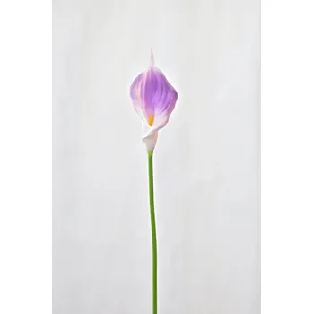umělá květina Umělá kala fialová, 41 cm (119019 055 MX002-Y013 kala violet)