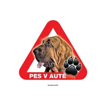 Grel nálepka na sklo pozor pes v autě bloodhound