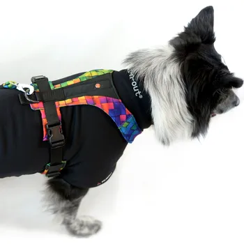 Postroj pro psa Out-n-out Out-n-out® postroj Y-go Barva: happy, Velikost: XL