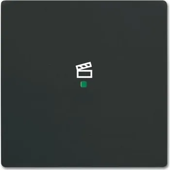 Elektroinstalační materiál ABB Kryt 2CKA006220A0621 1násobný, symbol „scény“; mechová černá; SRS-1-885 2CKA006220A0621