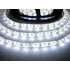 LED páska T-LED SQ3-W300 12V 6000K 1 m