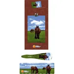 JUMPee Sada 008 Pastva